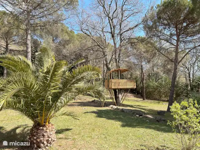 Villa Lou Jas | France, Var, Bagnols-en-Forêt - villa Palmier, pins, chênes et cabane dans les arbres rénovée