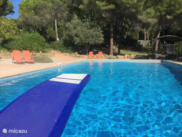 Villa Lou Jas | France, Var, Bagnols-en-Forêt - villa La piscine mesure 14 x 7 mètres. Prendre un travail?