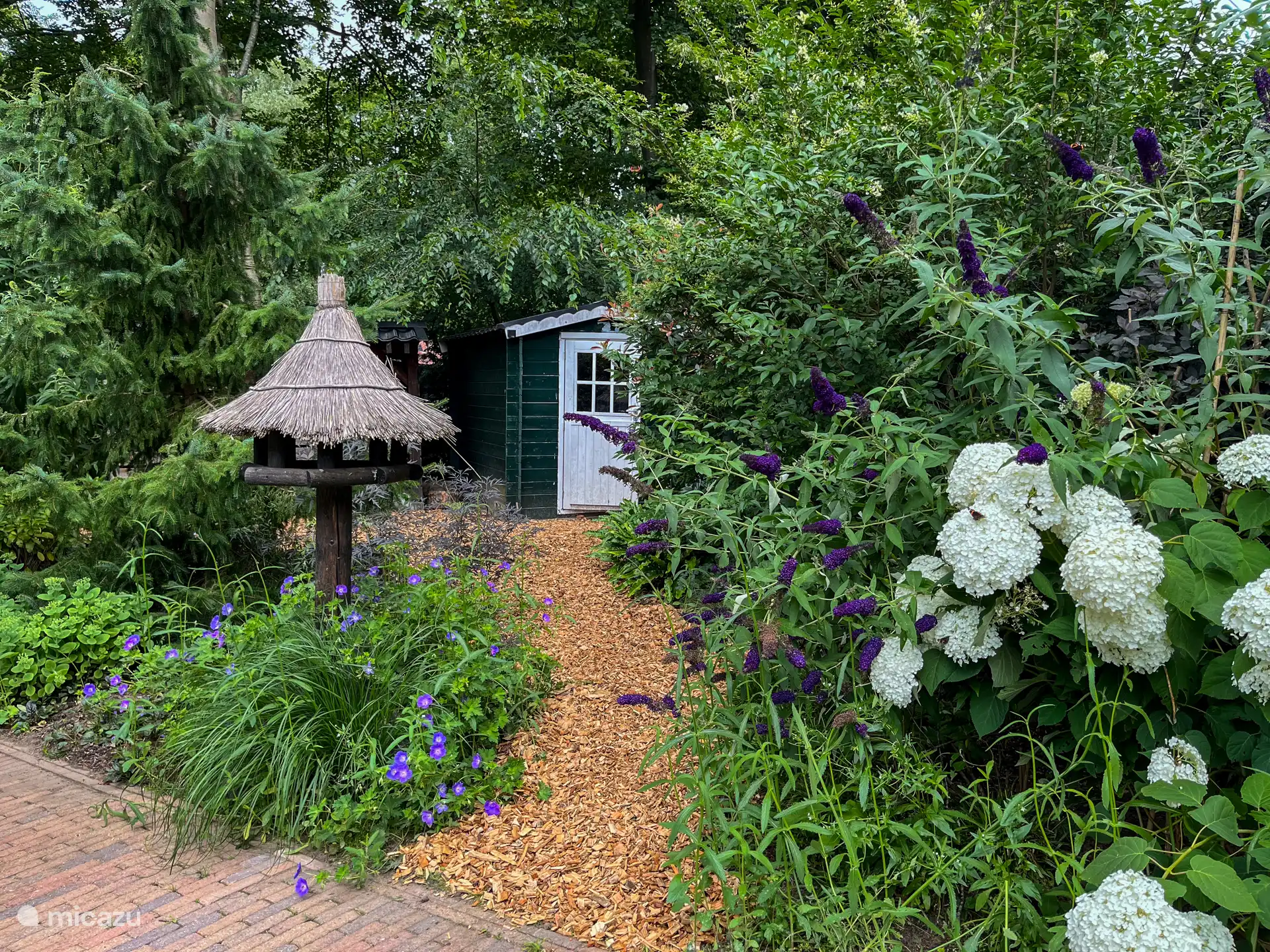 Rondom Huisje78 vind je allerlei houtsnipperpaadjes met iedere keer een ander zicht op de tuin en de planten. Tuin vol met vlinders, vogels, eekhoorntjes.