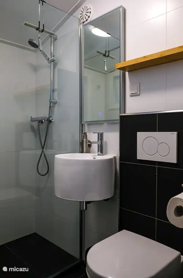 Bathroom with shower and toilet.