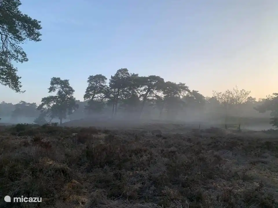 Getting out early in the morning is enjoying the beautiful nature that awakens.