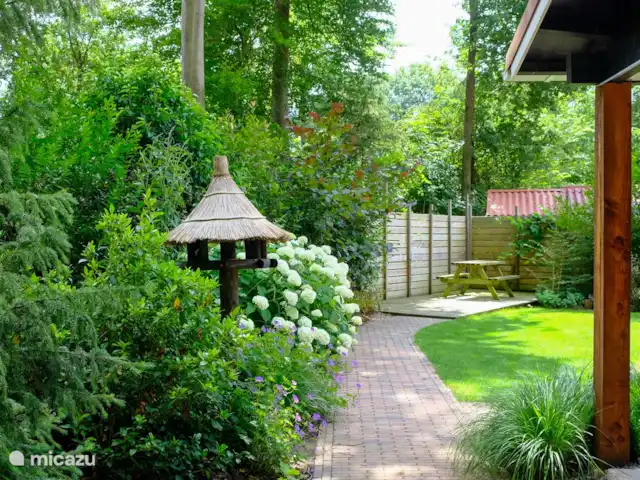 Huisje 78 in Drenthe huren in Nederland, Drenthe, Exloo - bungalow Een ruime tuin met veel privacy en vanaf het terras kunt u heerlijk genieten van de vele vogeltjes die er rond vliegen.