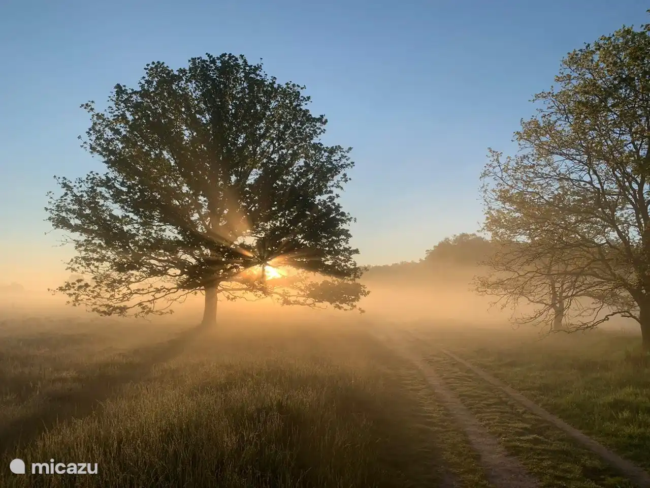 Sunrise in Drenthe, a stone's throw from Huisje78inDrenthe.