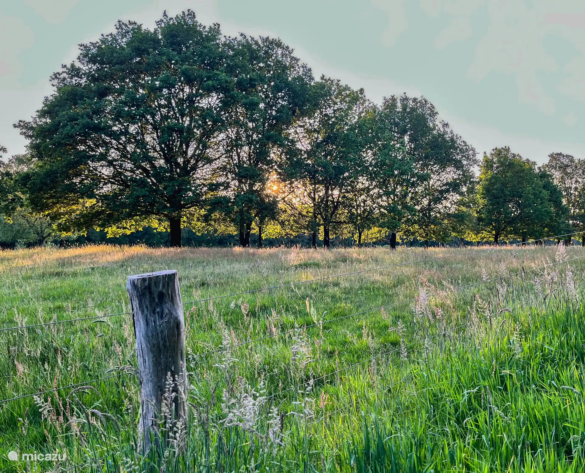 Within walking distance of the cottage you are in the Hunzebos, where you can enjoy the beautiful nature of Drenthe.