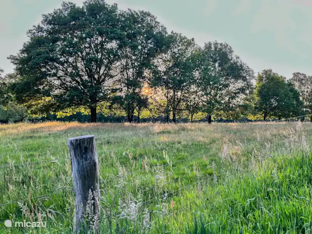 Huisje 78 in Drenthe huren in Nederland, Drenthe, Exloo - bungalow Op loopafstand van het huisje ben je zo in het Hunzebos, waar je kunt genieten van de prachtige natuur van Drenthe.