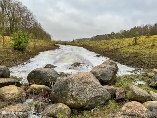 Huisje 78 in Drenthe huren in Nederland, Drenthe, Exloo - bungalow Op loopafstand van het huisje ben je zo in het Hunzebos, waar je kunt genieten van de prachtige natuur van Drenthe.