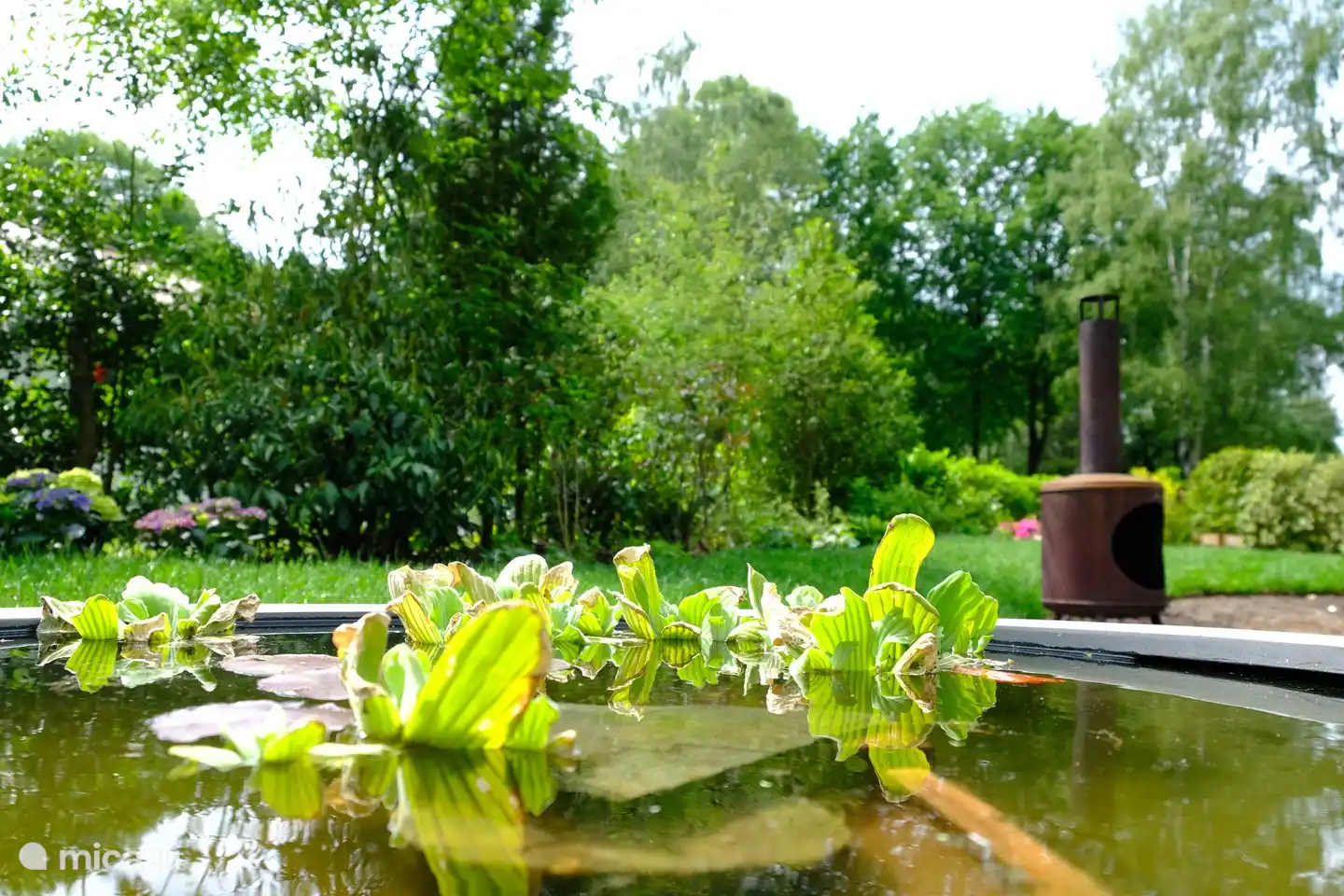 Enjoy in the garden.