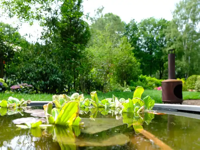 Huisje 78 in Drenthe huren in Nederland, Drenthe, Exloo - bungalow Volop genieten in de tuin.