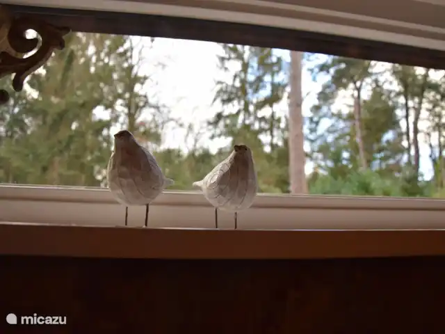 Casa de vacaciones Pura Vida en Países Bajos, Overijssel, Holten - casa vacacional en medio de la naturaleza