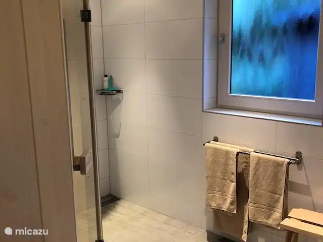 Casa de vacaciones Pura Vida en Países Bajos, Overijssel, Holten - casa vacacional Ducha y sauna (2 personas)