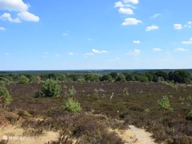 Casa de vacaciones Pura Vida en Países Bajos, Overijssel, Holten - casa vacacional Hermoso entorno