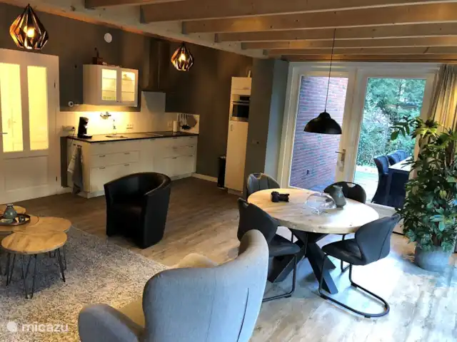 Casa de vacaciones Pura Vida en Países Bajos, Overijssel, Holten - casa vacacional Cocina abierta