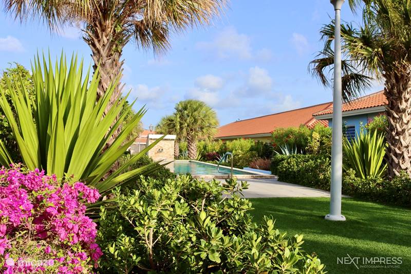 Ferienwohnung Curaçao, Curacao-Mitte, Willemstad Ferienhaus Centro Garden, Brandneues Apartment,