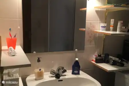 Vakantiehuis Spanje, Costa Brava, Empuriabrava appartement Gran Lago badkamer