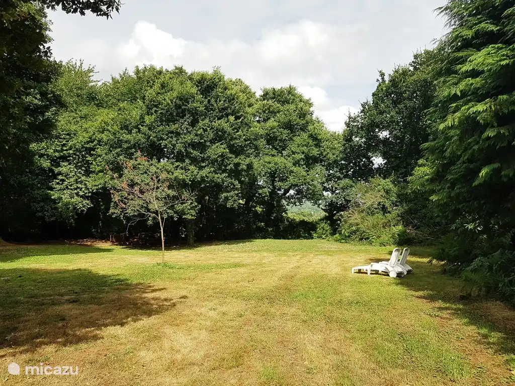 gran jardín con tumbonas