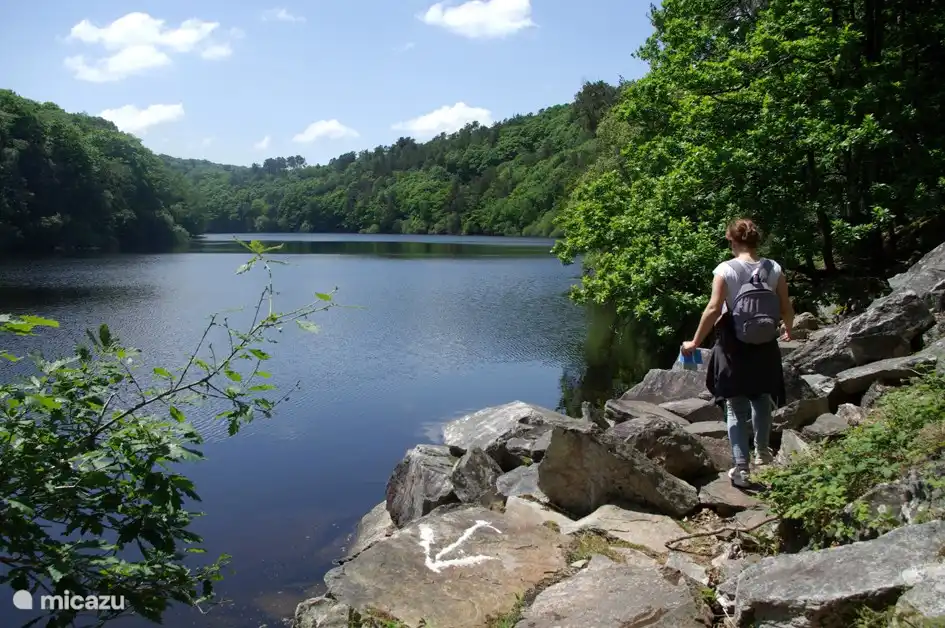 innumerables paseos en las inmediaciones
