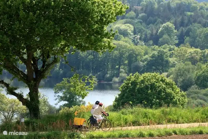 puedes andar en bicicleta aquí para el contenido de tu corazón