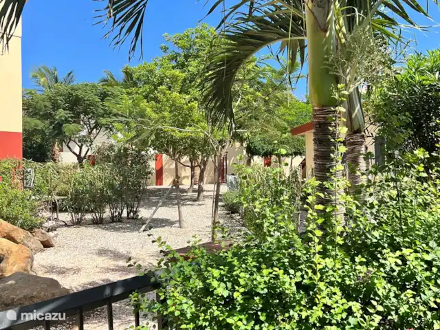 Casa Aruba | Aruba, Nord, Alto Vista - appartement Vue du jardin