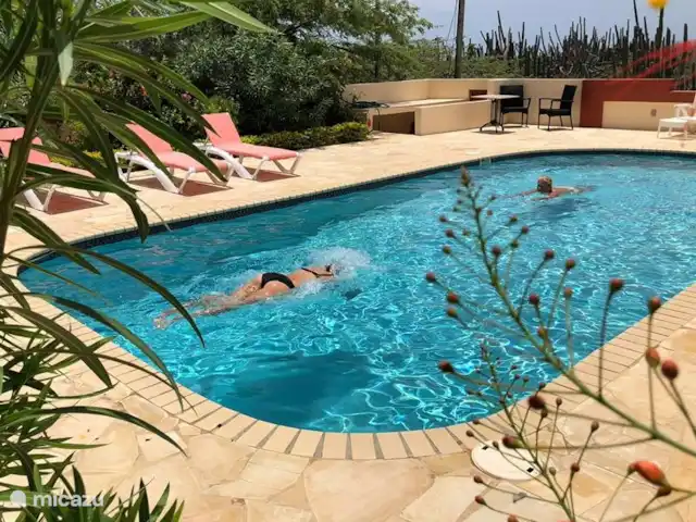 Casa Aruba | Aruba, Nord, Alto Vista - appartement Belle piscine privée. Et toujours un lit disponible.