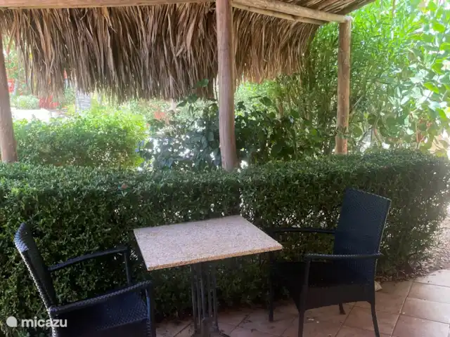 Casa Aruba | Aruba, Nord, Alto Vista - appartement Votre terrasse privée avec toujours de l'ombre, mais vous pouvez aussi vous asseoir au soleil