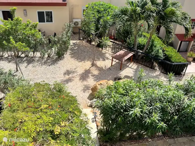 Casa Aruba | Aruba, Nord, Alto Vista - appartement Appartement d'angle