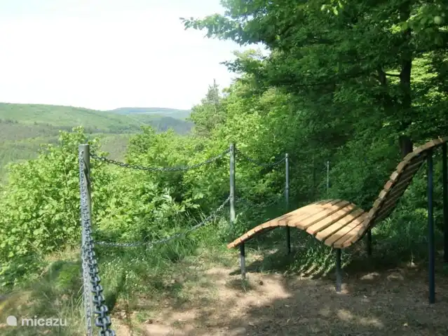 Se puede llegar a hermosos miradores en el bosque a través de las numerosas rutas de senderismo.