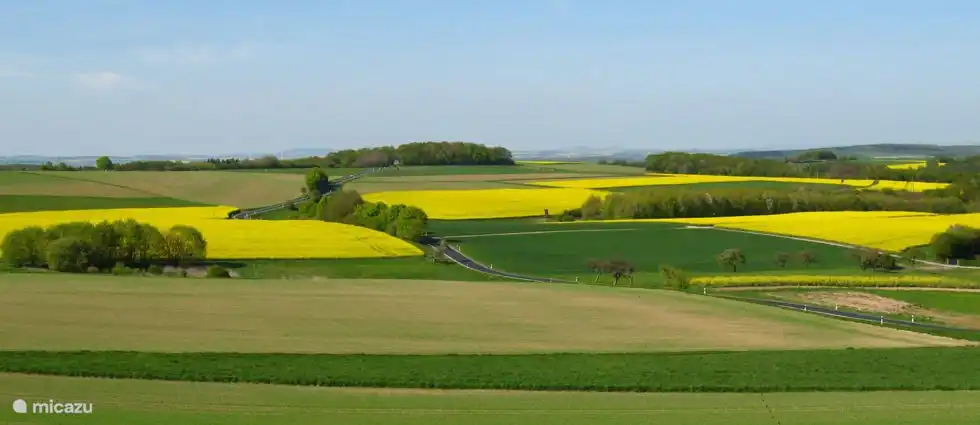 En la primavera los hermosos campos