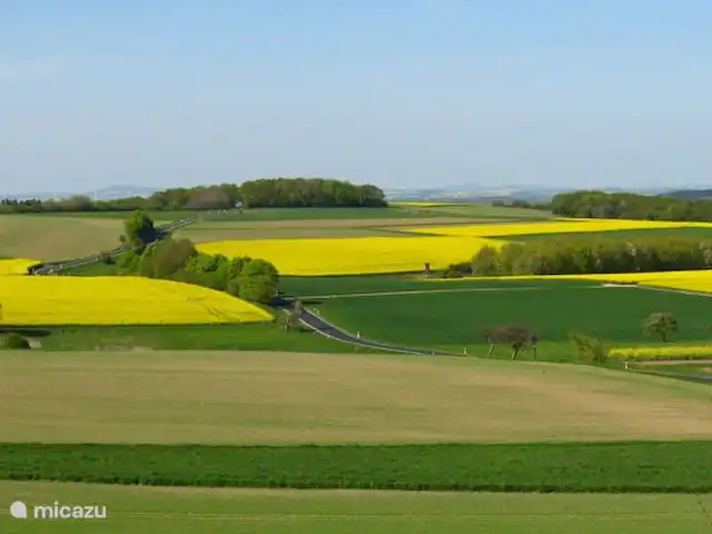 Location de Vacances Allemagne, Moselle, Liesenich, appartement - Appartement 2 Haus Buchholz Au printemps les beaux champs