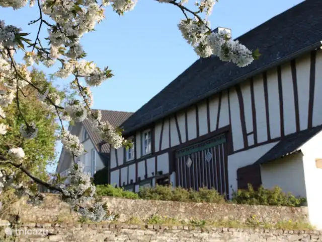 Location de Vacances Allemagne, Moselle, Liesenich, appartement - Appartement 2 Haus Buchholz vue de côté