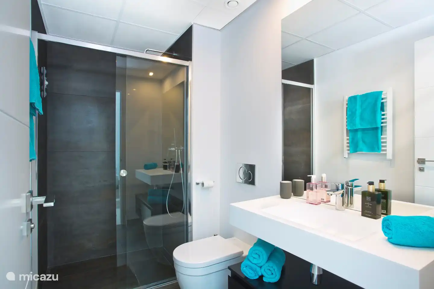 Salle de bain 2 avec douche pluie, toilettes et lavabo