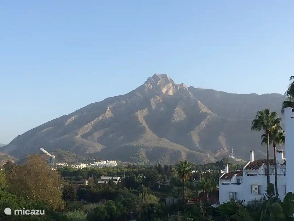 Vue depuis la terrasse sur le toit
