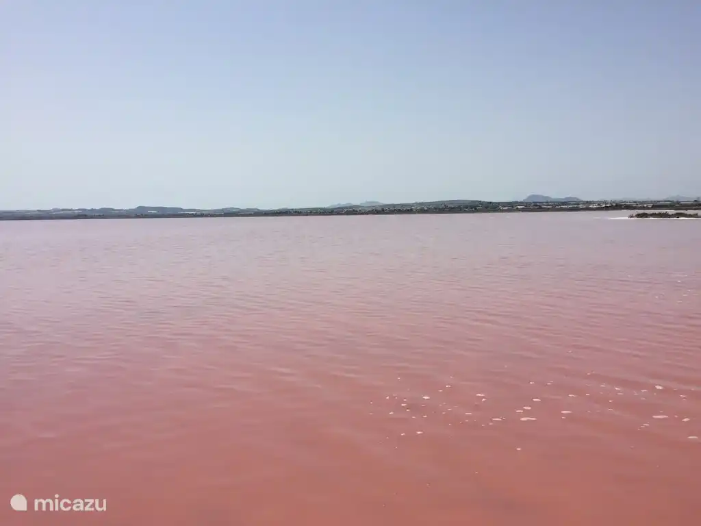 lacs salés de Torrevieja