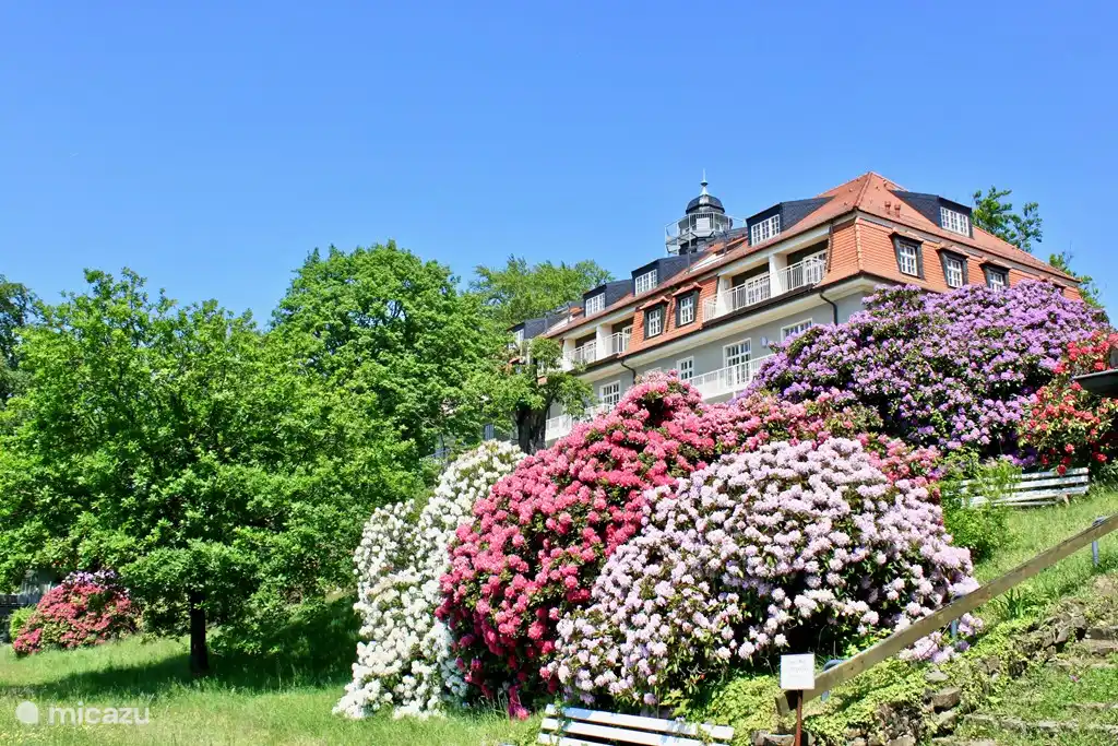 Dresden single wohnung