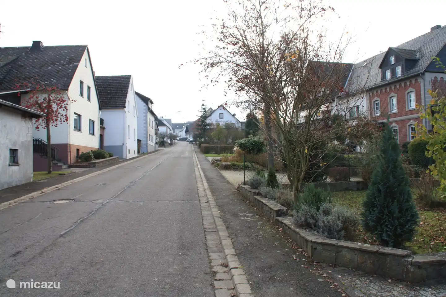 Calle principal de Liesenich