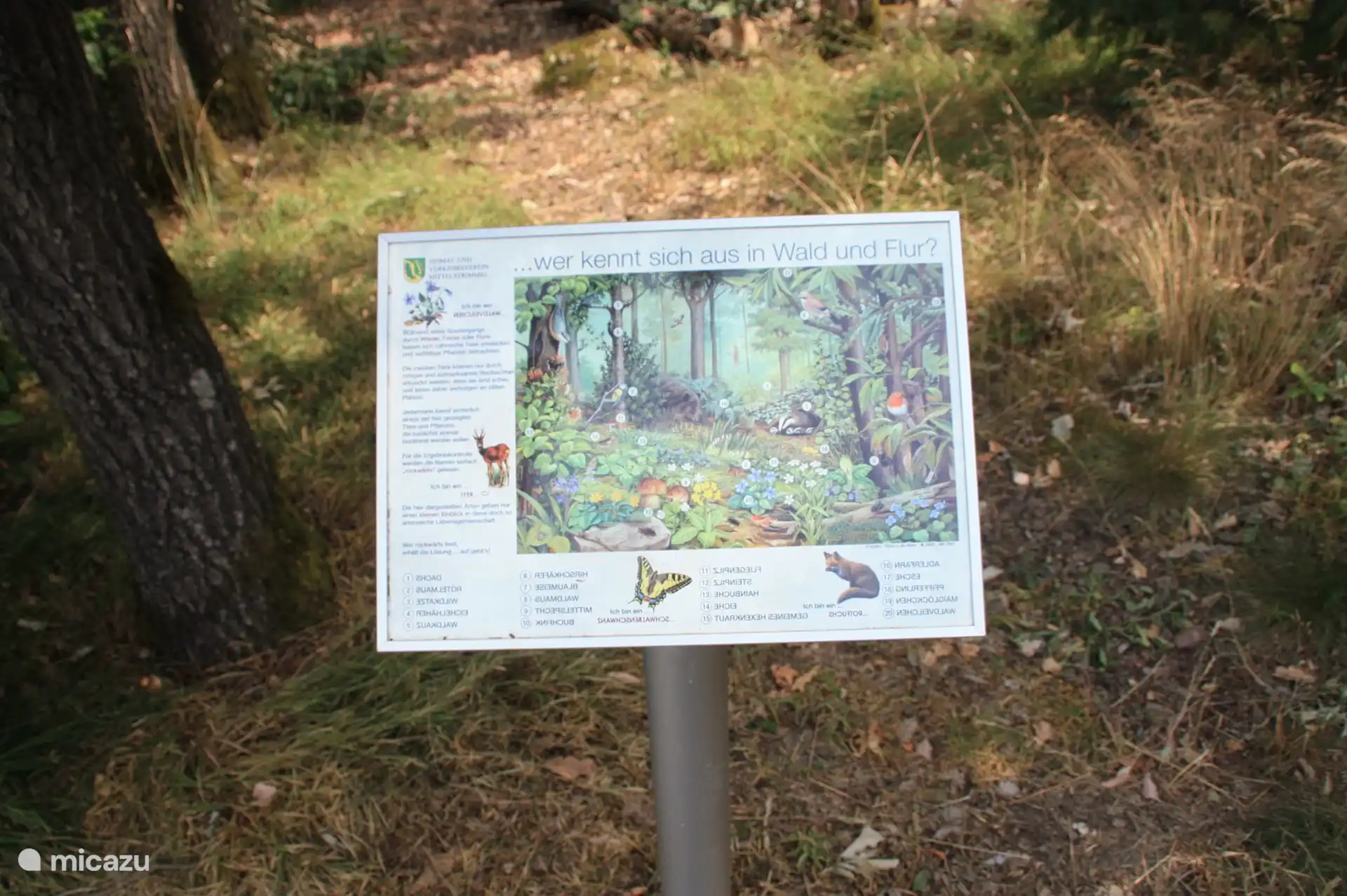 Texto y explicación a lo largo del camino