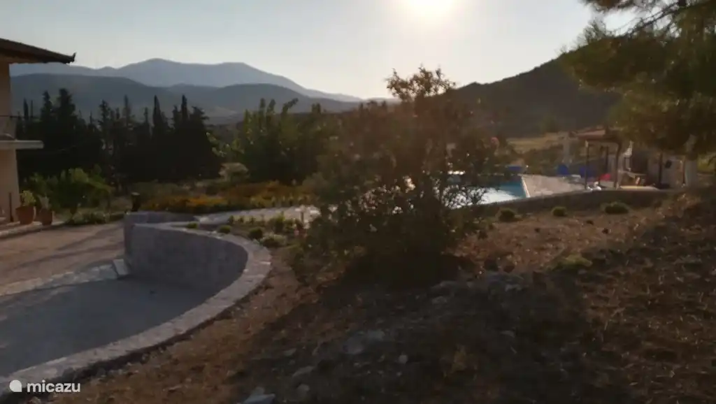 in the early morning