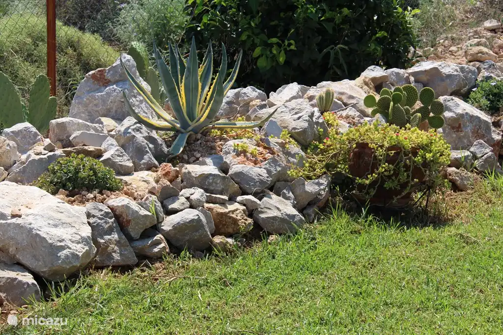 A part of our rock garden