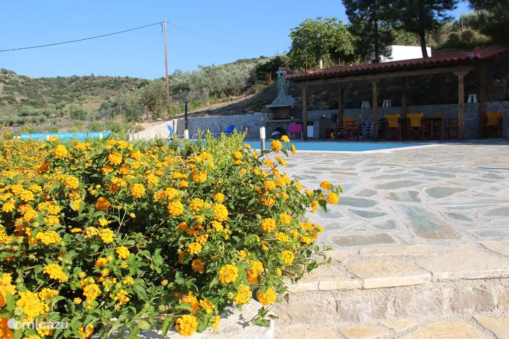 On the way to our pool