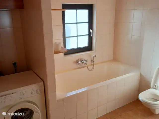 Casa de vacaciones 'La vieja escuela' en Países Bajos, Zelanda, IJzendijke - casa vacacional Bañera y aseo del cuarto de baño.