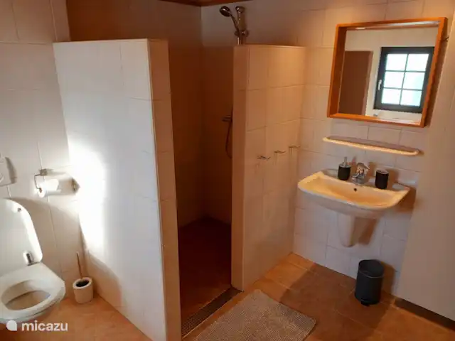 Casa de vacaciones 'La vieja escuela' en Países Bajos, Zelanda, IJzendijke - casa vacacional Bañera, inodoro y cabina de ducha del cuarto de baño.