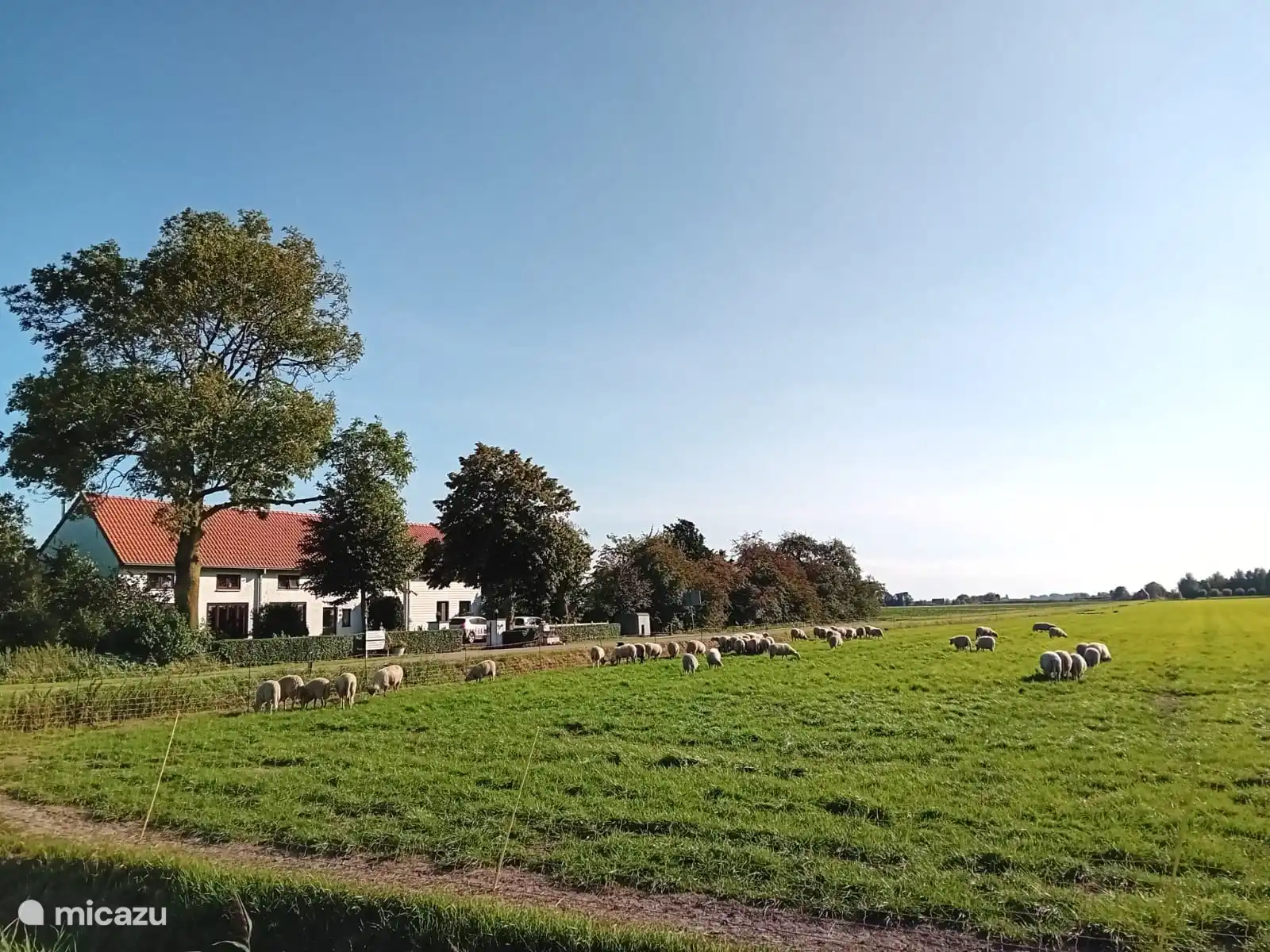 vista frontal de la casa