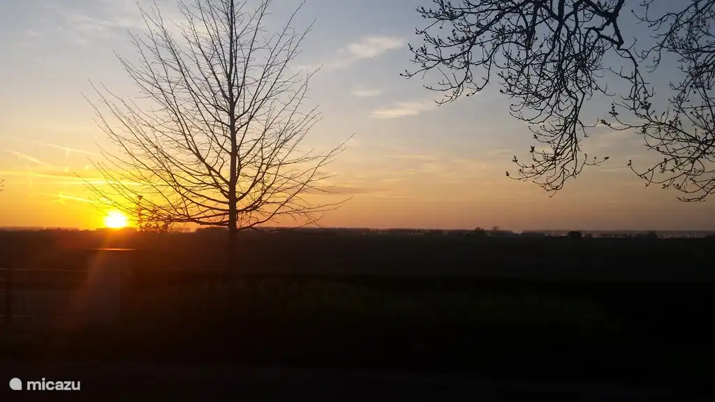 vista desde el patio delantero