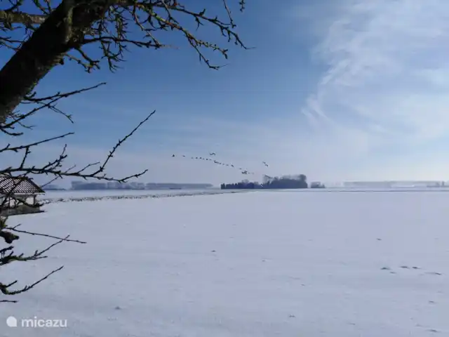 Casa de vacaciones 'La vieja escuela' en Países Bajos, Zelanda, IJzendijke - casa vacacional vista del patio trasero en invierno
