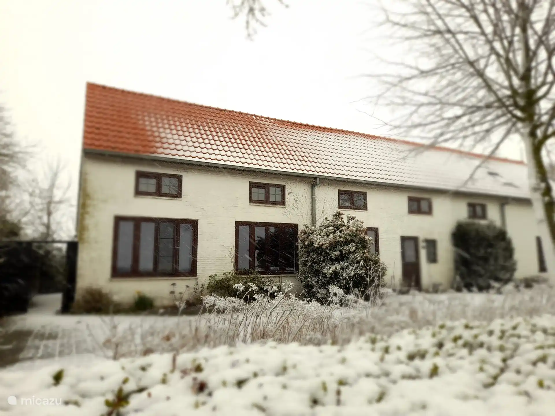 vista frontal de la casa en invierno