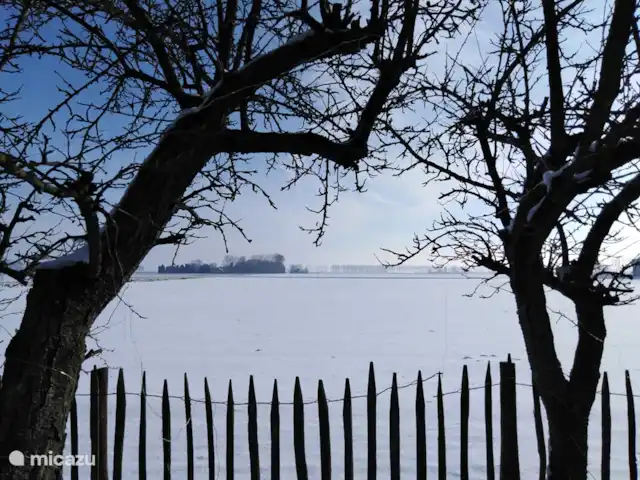 Casa de vacaciones 'La vieja escuela' en Países Bajos, Zelanda, IJzendijke - casa vacacional vista del patio trasero en invierno