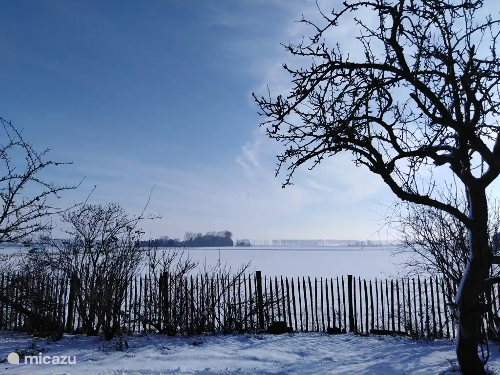 vista del patio trasero en invierno