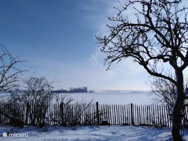 Casa de vacaciones 'La vieja escuela' en Países Bajos, Zelanda, IJzendijke - casa vacacional vista del patio trasero en invierno