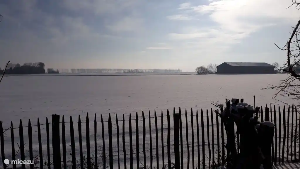 vista del patio trasero en invierno