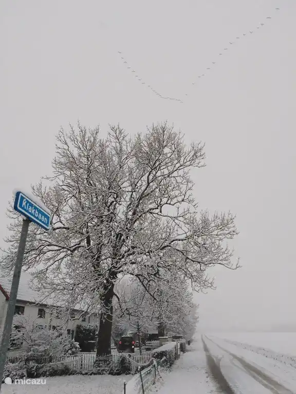 vista lateral de toda la casa y la calle en invierno