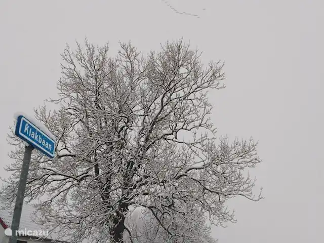 Casa de vacaciones 'La vieja escuela' en Países Bajos, Zelanda, IJzendijke - casa vacacional vista lateral de toda la casa y la calle en invierno